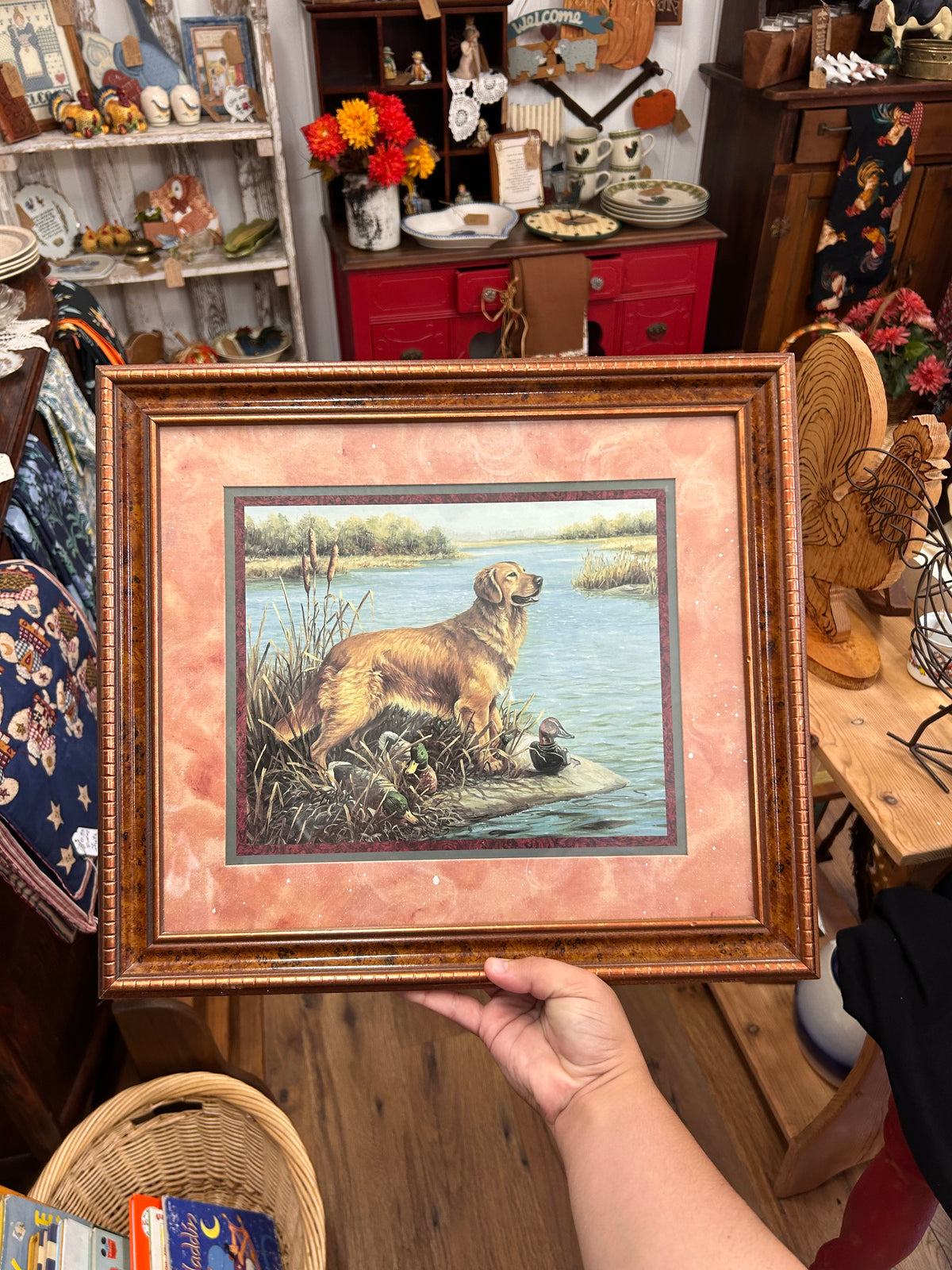 Golden Retriever With Ducks Framed Print