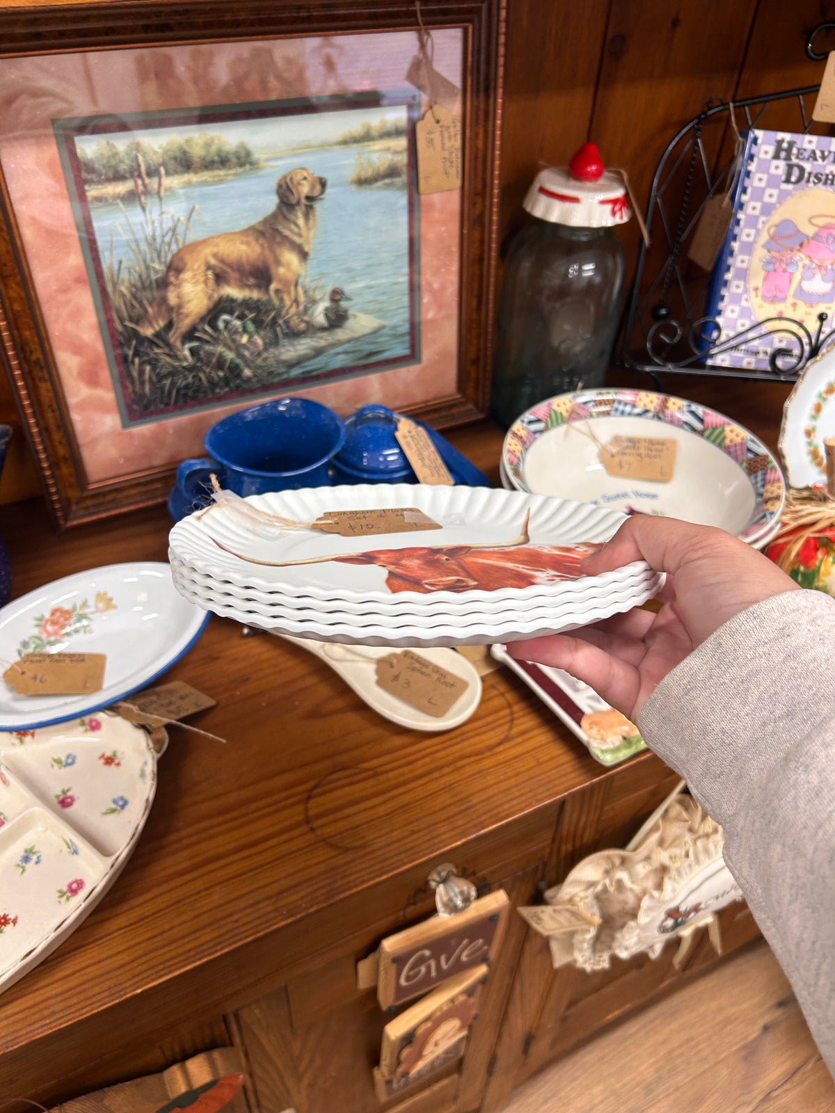 Longhorn Plates - Set Of 4