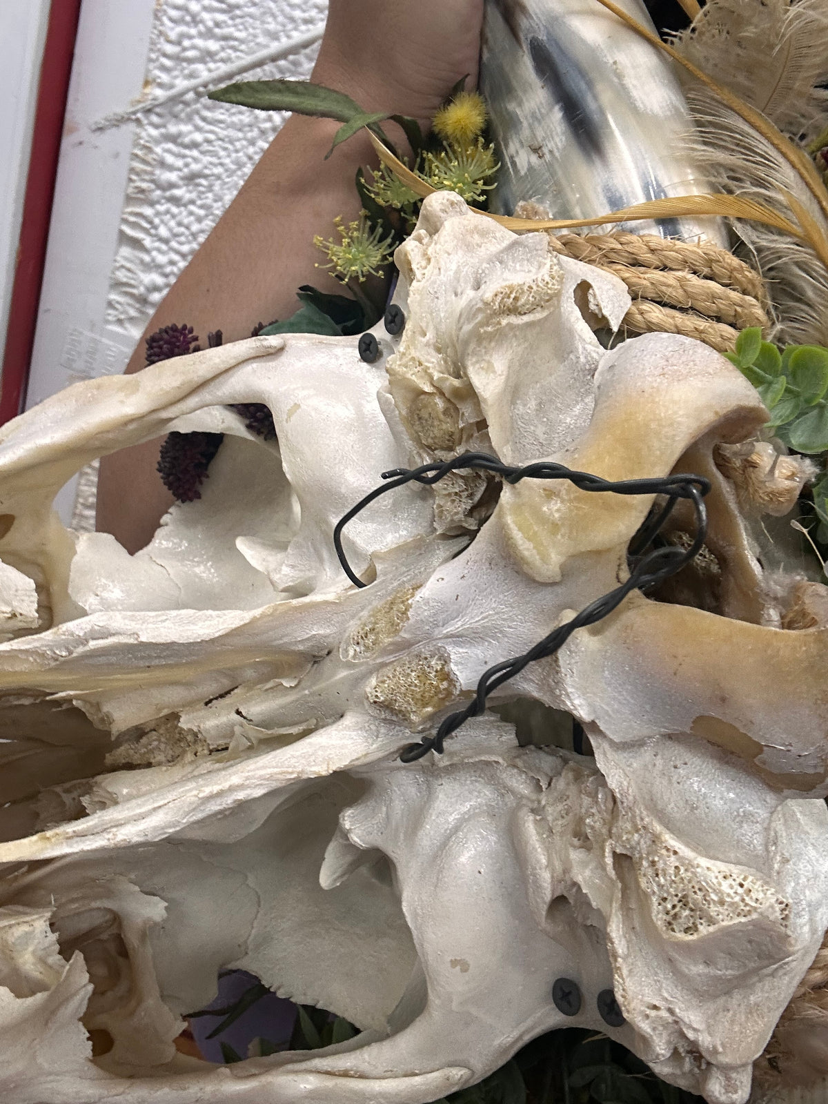 Western Cow Skull With Florals - Local Pickup Only