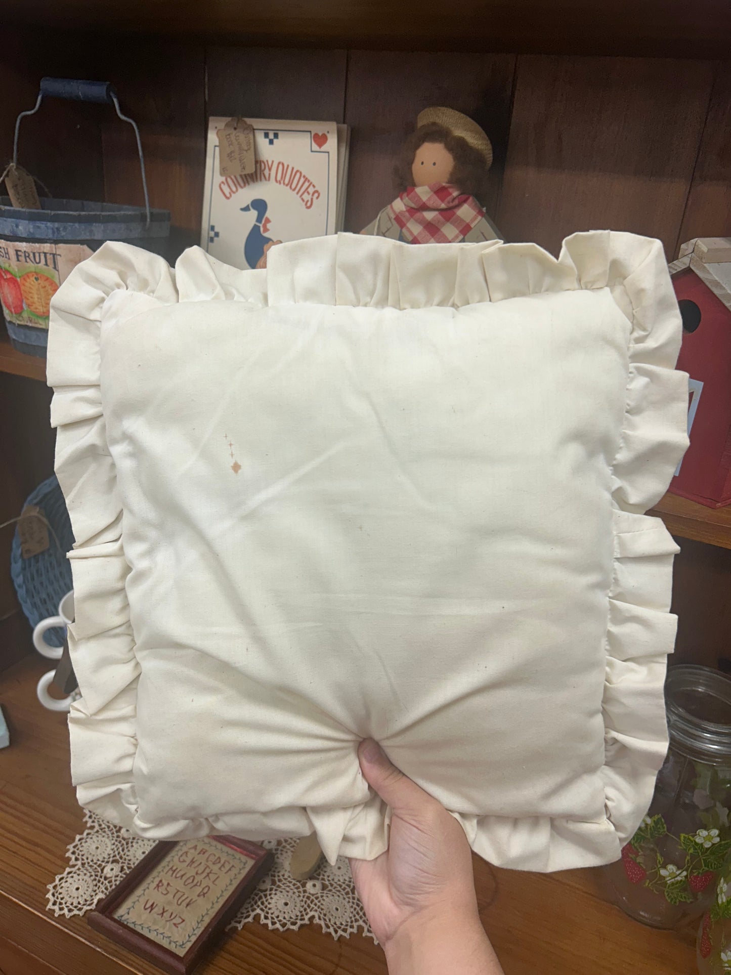 Vintage Duck Pillow - As Is