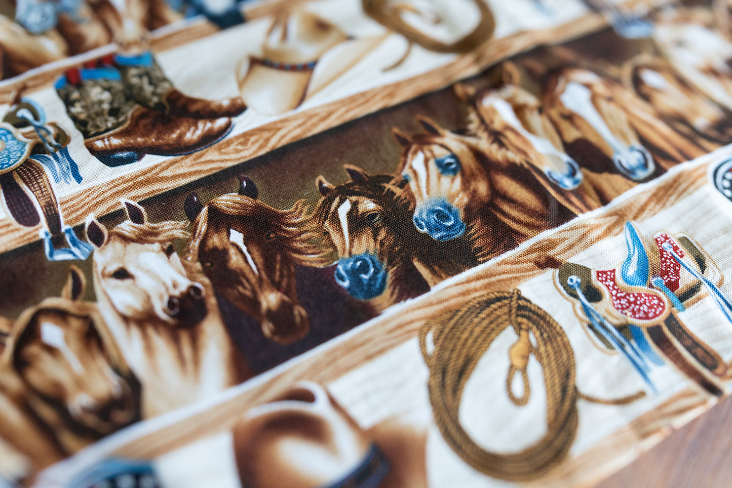 Fringe Cowboy Place Mats - Set Of Four