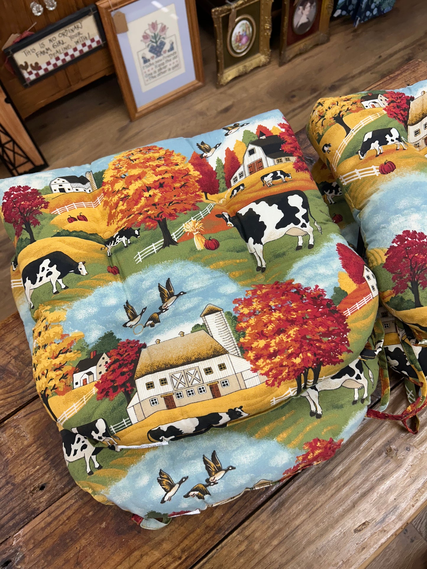 Vintage Set of 4 Chair Cushions
