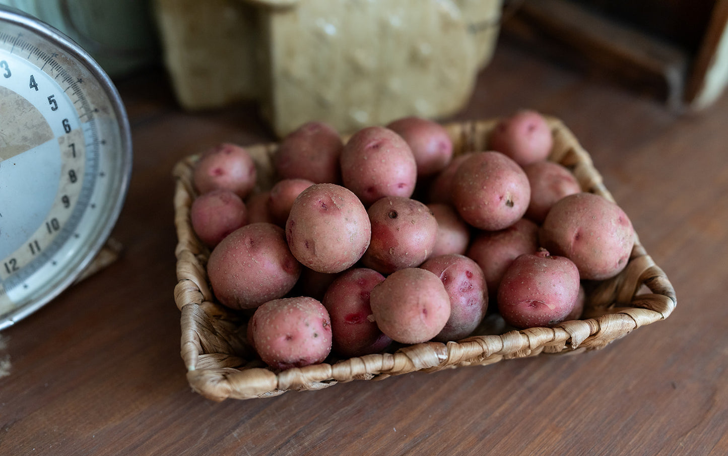 2 Pounds Red New Potatoes - Local Pick Up Only