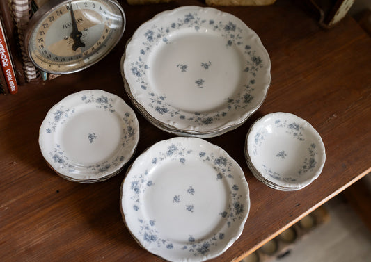 Blue + Silver Floral Plate Set