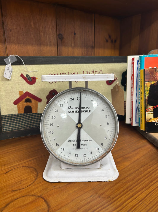 Vintage American Family Scale