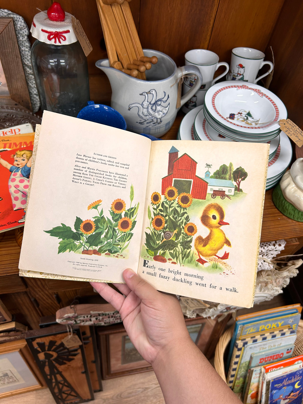 1972 The Fuzzy Duckling
