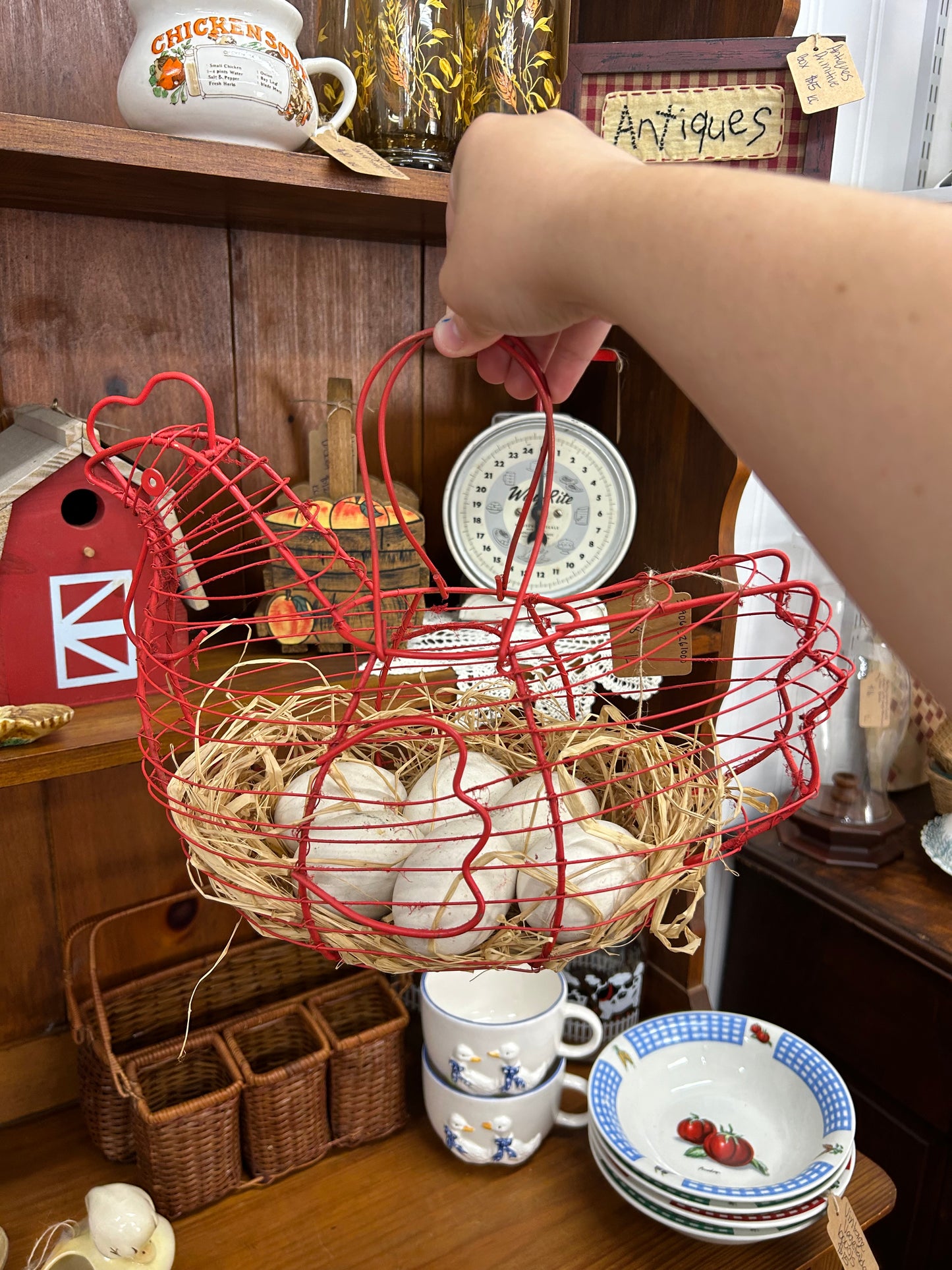 Chicken Wire Basket W/ Eggs